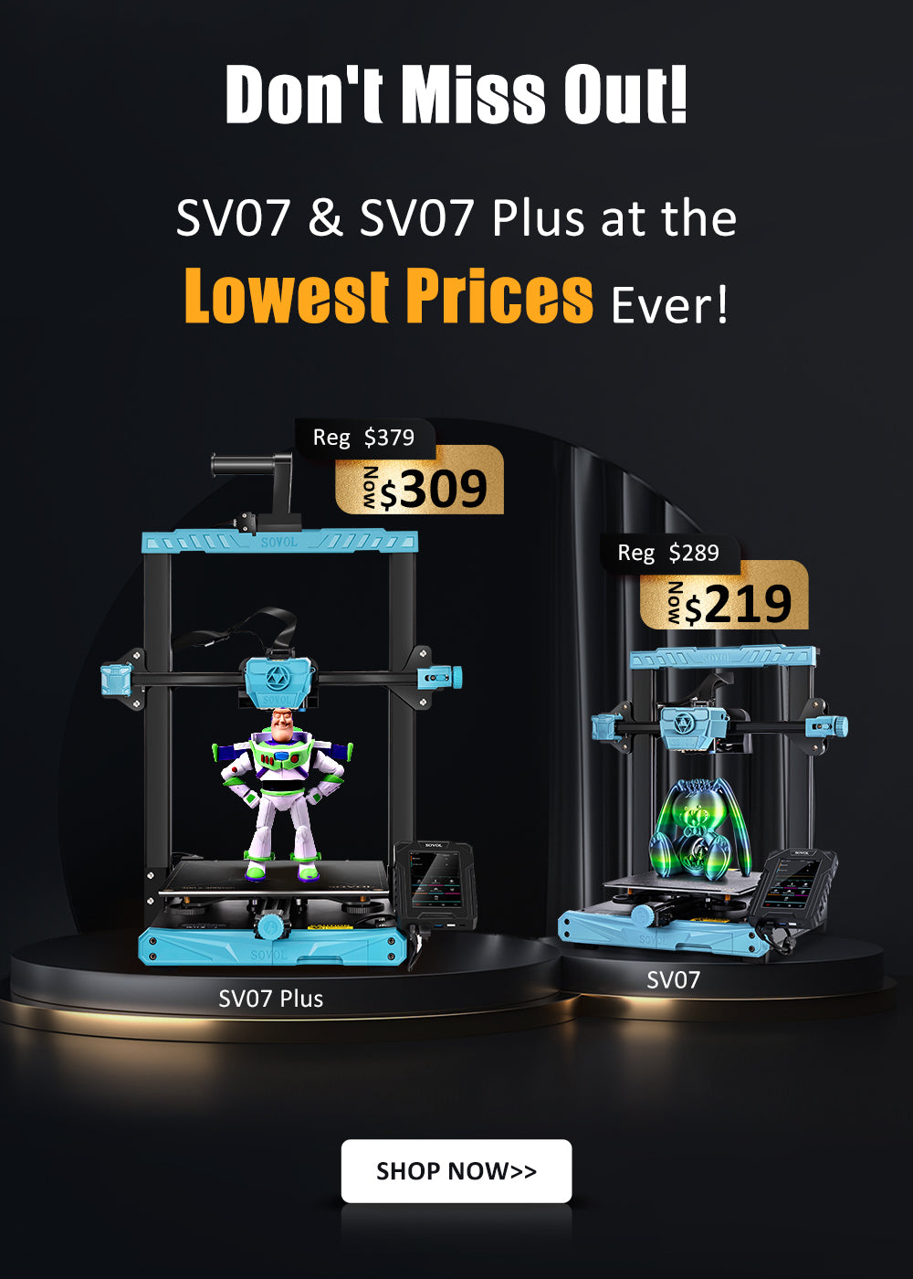SV07 &SV07 PLUS 3D Printer